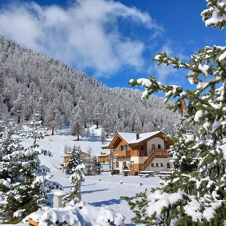 Botton D'oro Stella Alpina Livigno